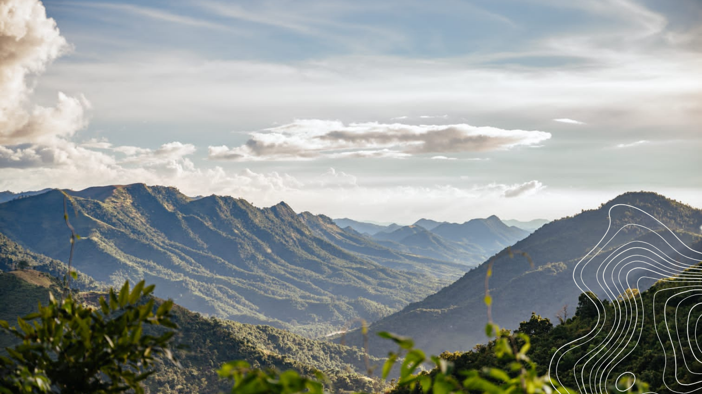 Todo lo relacionado con los viajes