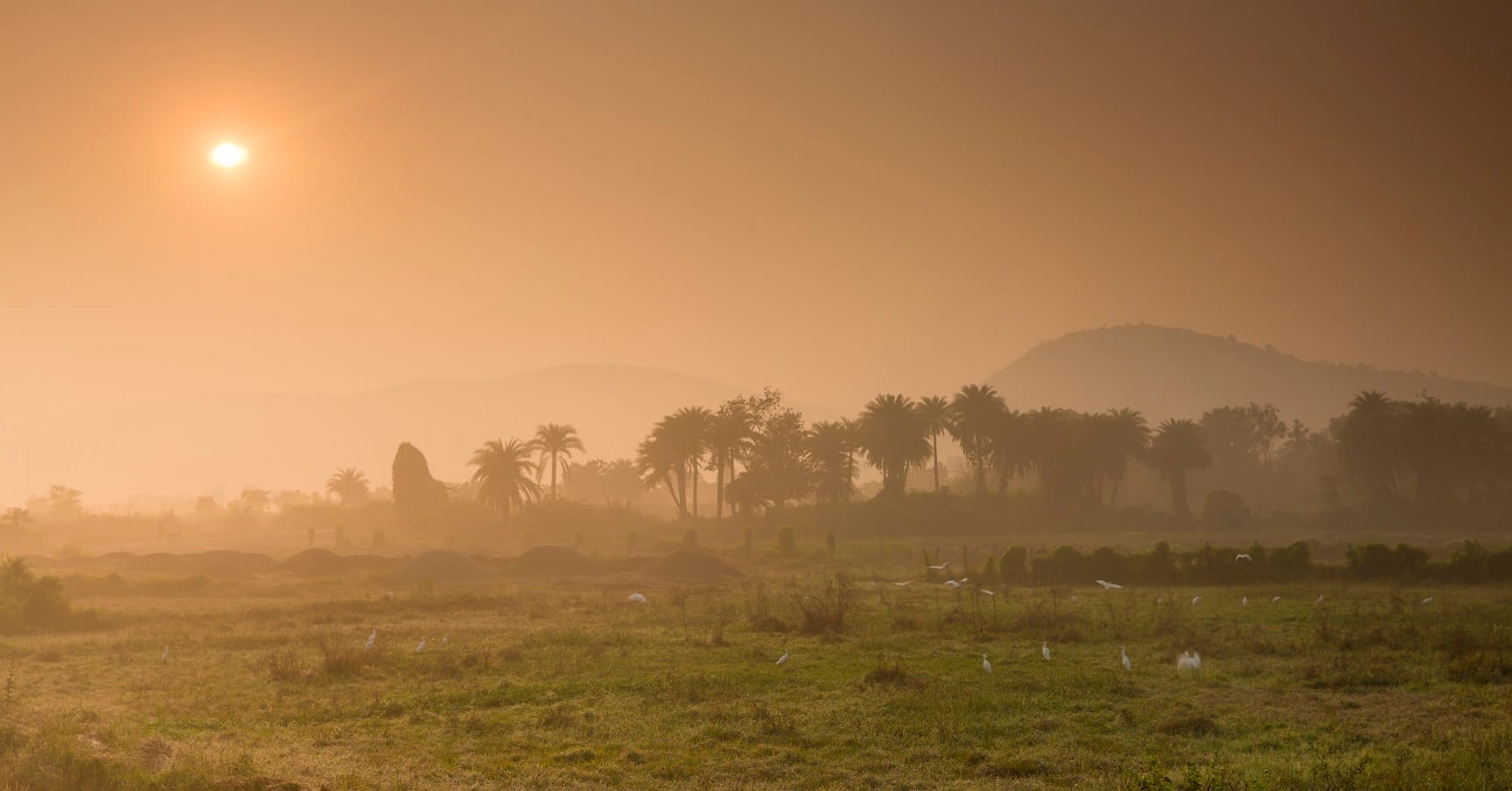 🌾 Rural Odisha Tours | Experiencia tribal y patrimonial de 18 días